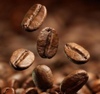 Wild Kopi Luwak 野生麝香貓咖啡 咖啡豆 100g