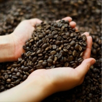 Uganda 烏干達 咖啡豆 100g